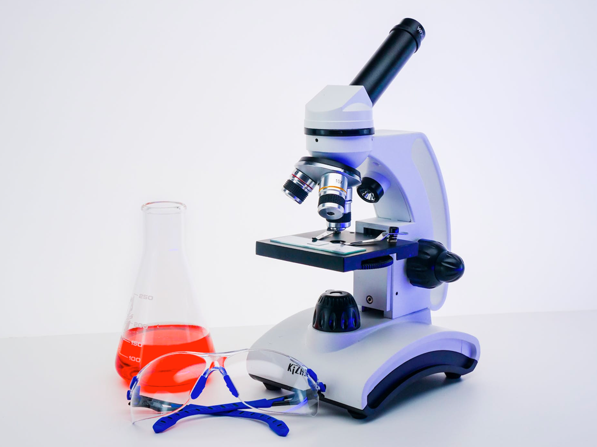 Oral Cell Renewal and Oral Health: Scientific Analysis of Gum Issues
