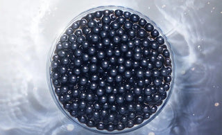 Oral Health: The Relationship Between Age and Cellular Aging