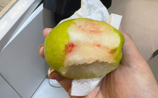 Yellow teeth holding you back? Nobaton is here to solve it completely!