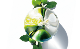 what are fruit acids