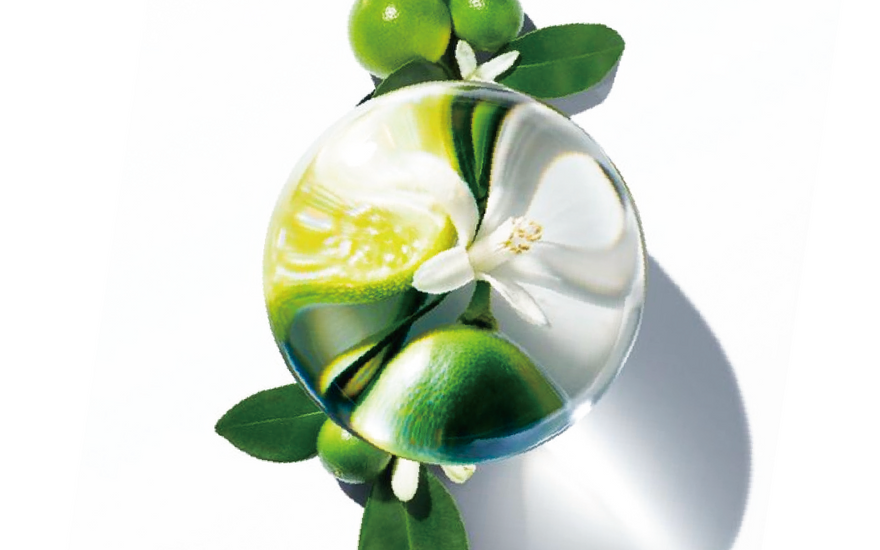 what are fruit acids