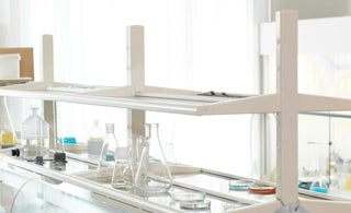 The Aging of Oral Cells and Health