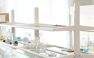 The Aging of Oral Cells and Health