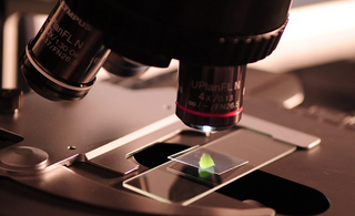 Oral Cell Renewal Technology in Next-Generation Toothpaste