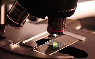 Oral Cell Renewal Technology in Next-Generation Toothpaste